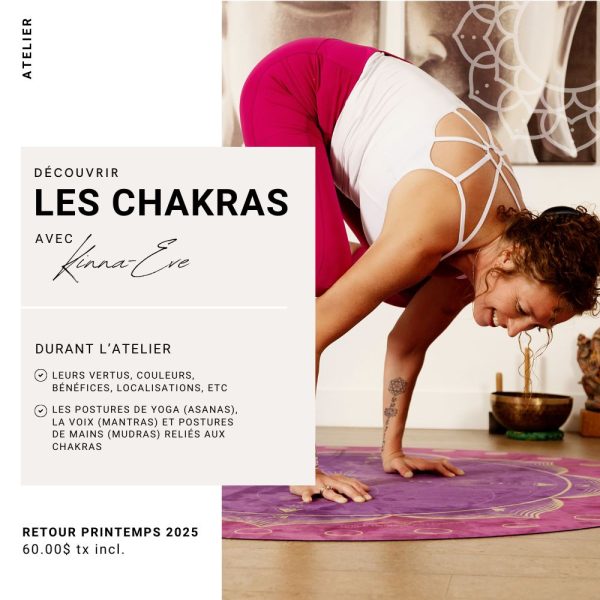 Atelier les Chakras au Centre KA